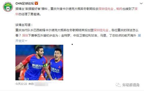 王阿姨深圳最新爆料信息,揭秘这座城市的繁华与隐秘